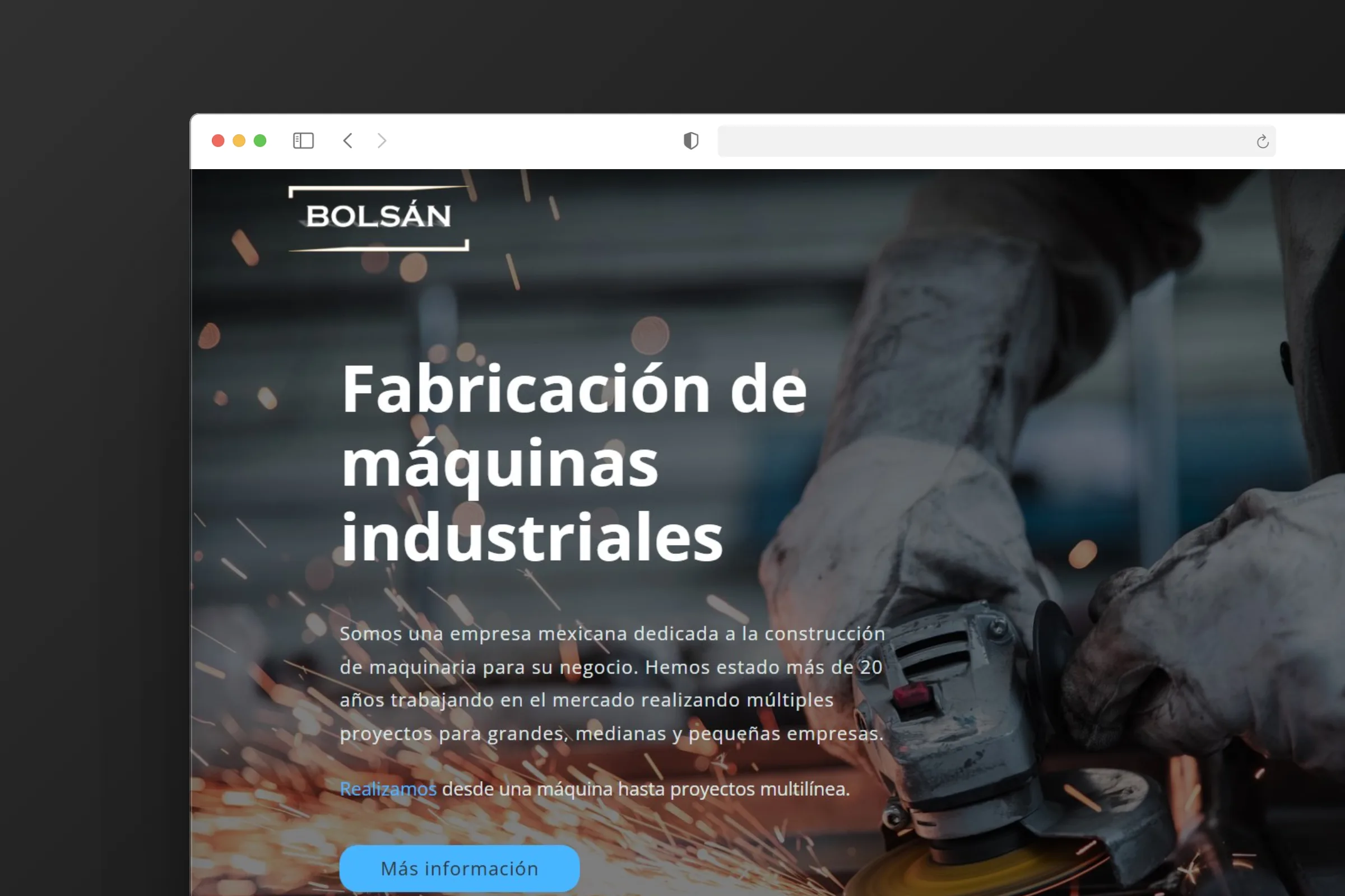Vista previa del sitio web Bolsan